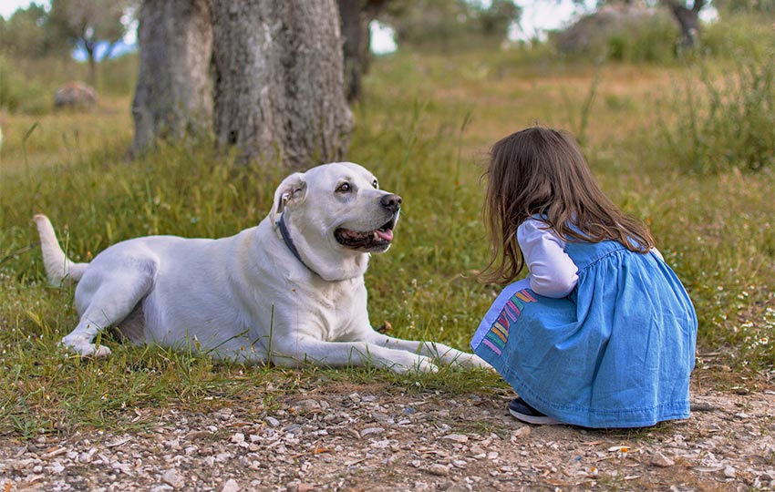 Hund mit Kind